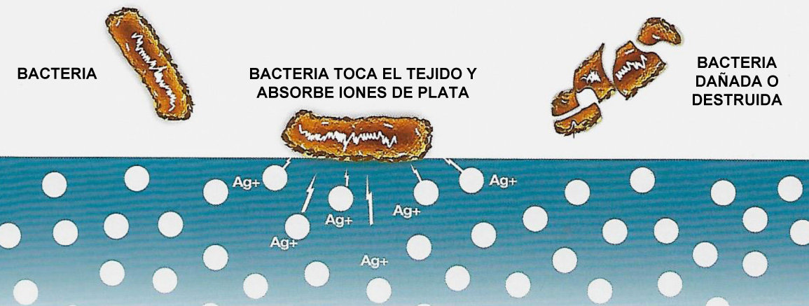 funcionamiento tejido antibacteriano
